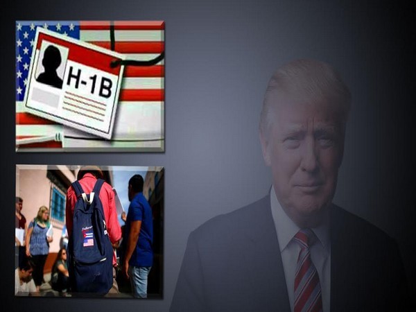 Washington has no plans to cap H-1B visas: US State Department