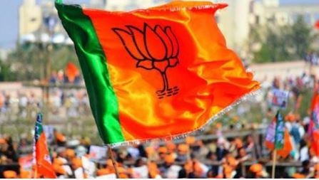 BJP asks 240 MPs to campaign in Delhi colonies