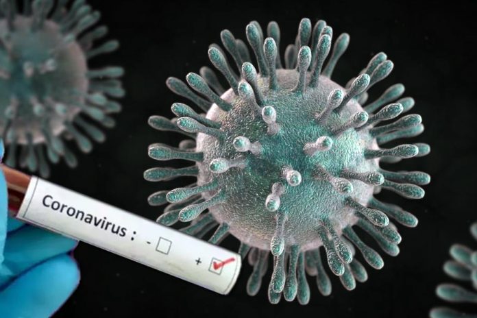 Northeast put on high alert over possible outbreak of coronavirus