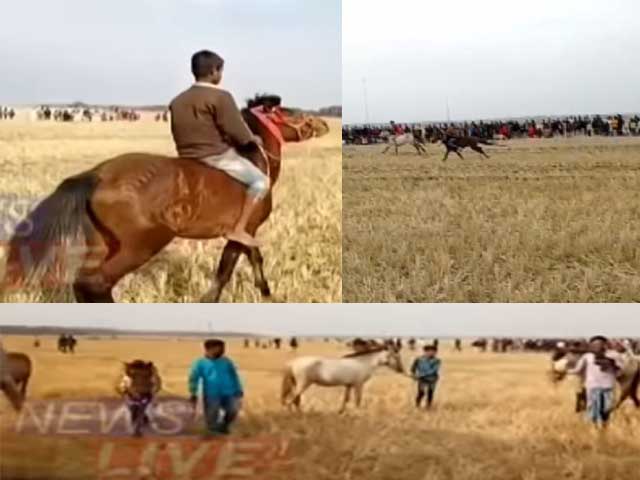Goapara: Villagers welcome 2020 with Horse Race in Goalpara
