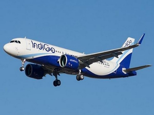 Indigo Delhi-Mumbai flight receives bomb hoax at IGI Airport, passengers deplaned