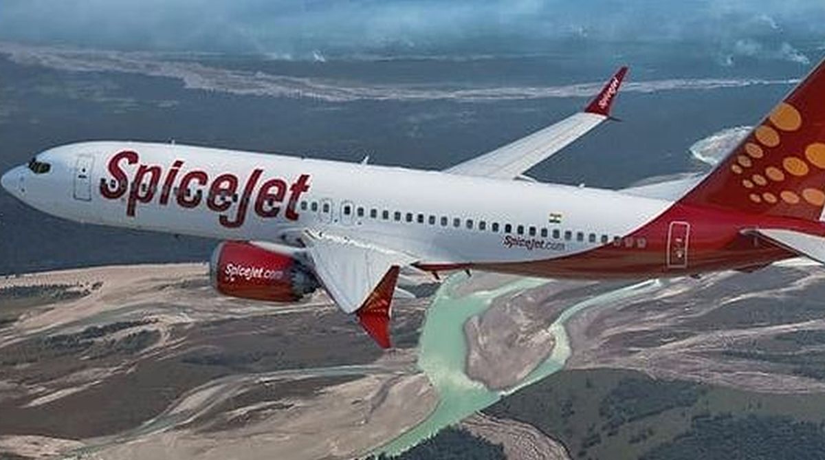 SpiceJet to launch 20 new flights on domestic routes » News Live TV » India
