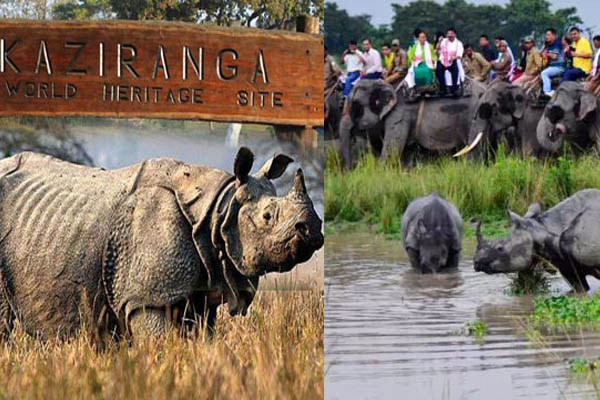 Assam: All National parks, Wildlife Sanctuaries to be closed from tomorrow