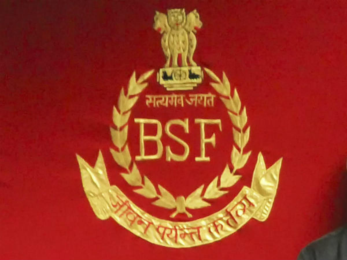 BSF letter logo design. BSF monogram initials letter logo concept. BSF  letter design in black background. Stock Vector | Adobe Stock