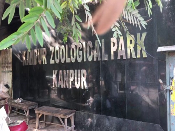 Bird flu: Kanpur zoo closed until further orders