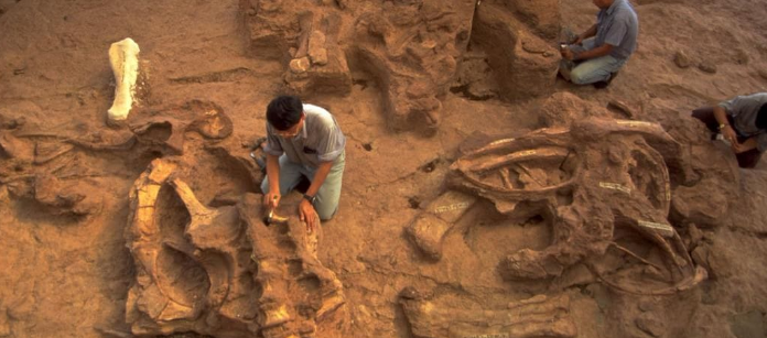 dinosaurs discovered in 2021