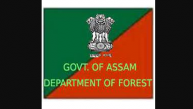 Major reshuffle in Assam Forest Department, Complete list » News Live ...