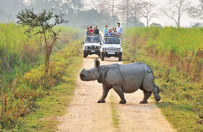 Assam Kaziranga National Park Conferred With ‘best Wildlife