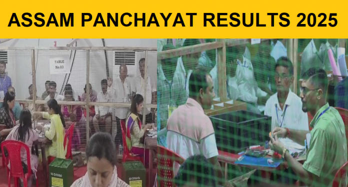 Assam Panchayat Results: BJP and allies take early leads