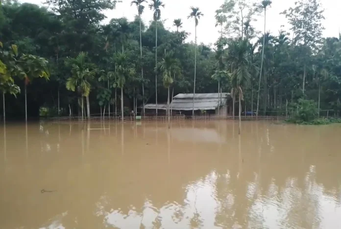 Three more people have died in the Assam floods in Doomdooma, Kachua and Hojai.