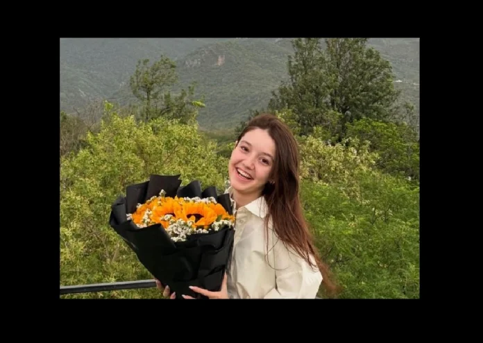 Sana Yousaf who had a large following on TikTok and Instagram was shot dead at her Islamabad home.