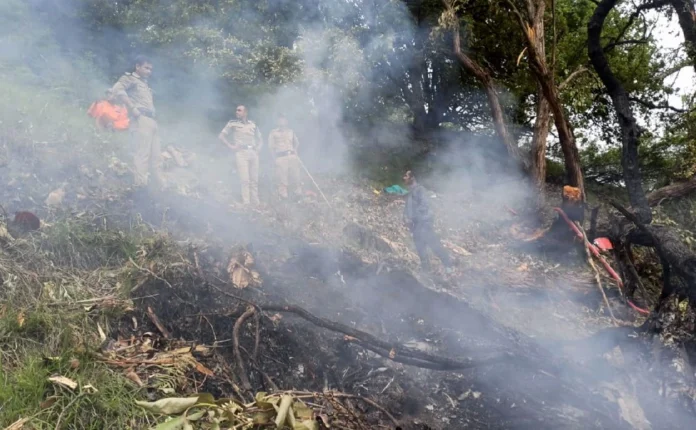 Uttarakhand helicopter crash: All 7 on board killed after chopper crashes while returning from Kedarnath shrine
